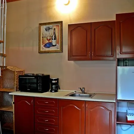 ゲストハウス Violetta Vendeghaz