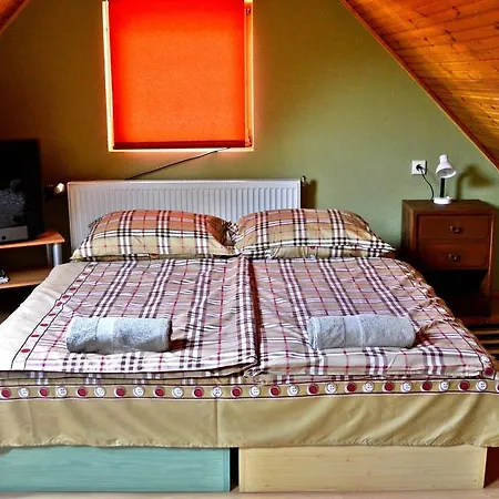 ゲストハウス Violetta Vendeghaz